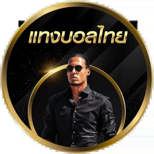 miami 1688 เว็บตรง คาสิโนฮิต เล่นง่าย จ่ายจริง อันดับ 1